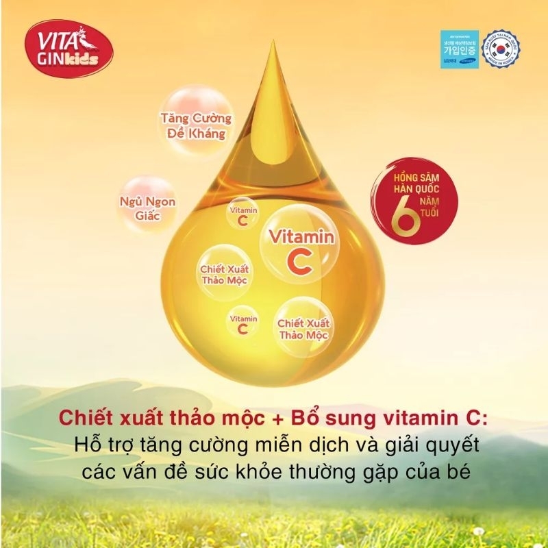 Nước Hồng Sâm Trái Cây Trẻ Em Vitagin Kids 100ml