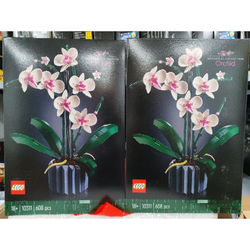 LEGO Creator Expert Icons 10311 Chậu Hoa Lan