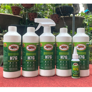 Chế phẩm sinh học diệt mối tận gốc h7g