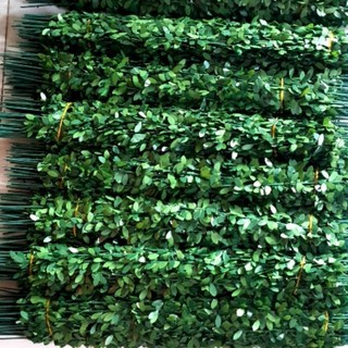 Cành lá kẽm quấn sẵn làm vòng kỷ yếu 60cm