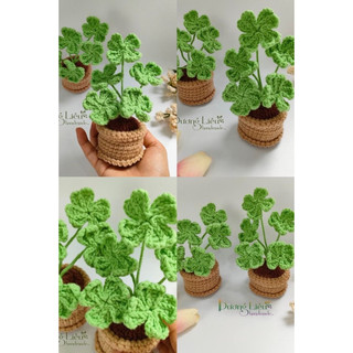 Chậu cỏ 4 lá may mắn