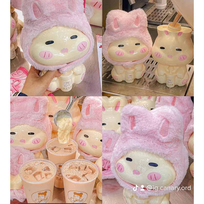 SET 5 món Bình Nước Thỏ tai hồng