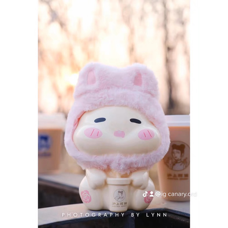 SET 5 món Bình Nước Thỏ tai hồng