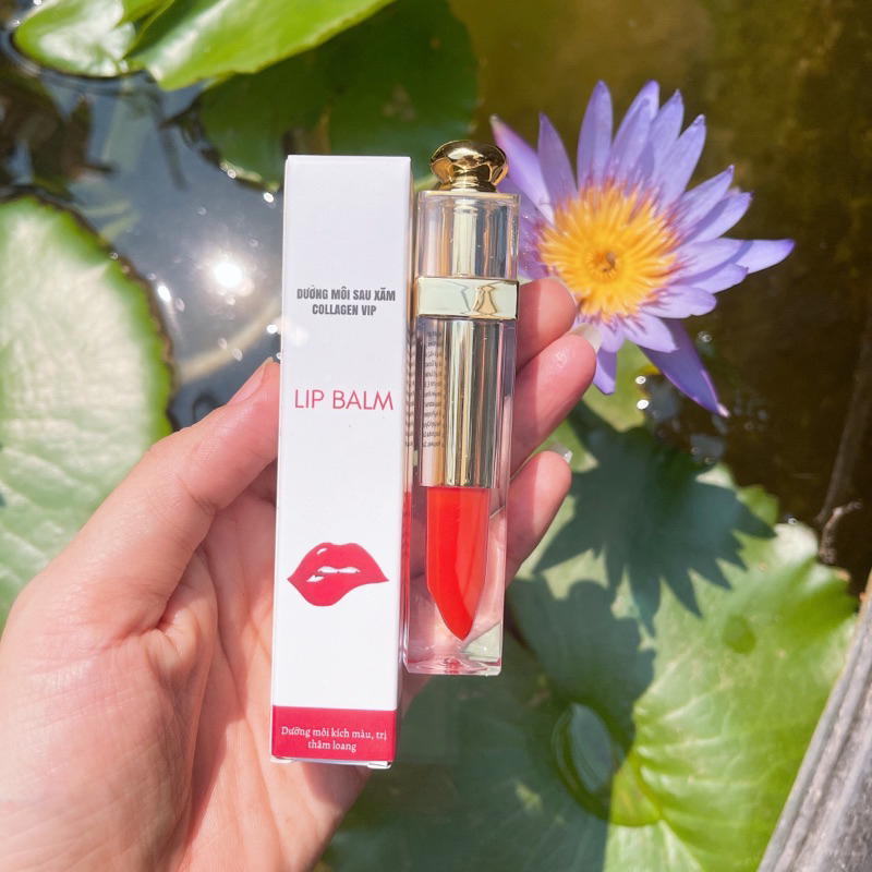 SON KEM DƯỠNG MÔI COLLAGEN CÓ MÀU DÀNH CHO BÀ BẦU GIÚP GIẢM THÂM MÔI KÍCH MÀU SAU PHUN XĂM LÀM MÔI HỒNG MÔI TỰ NHIÊN | BigBuy360 - bigbuy360.vn