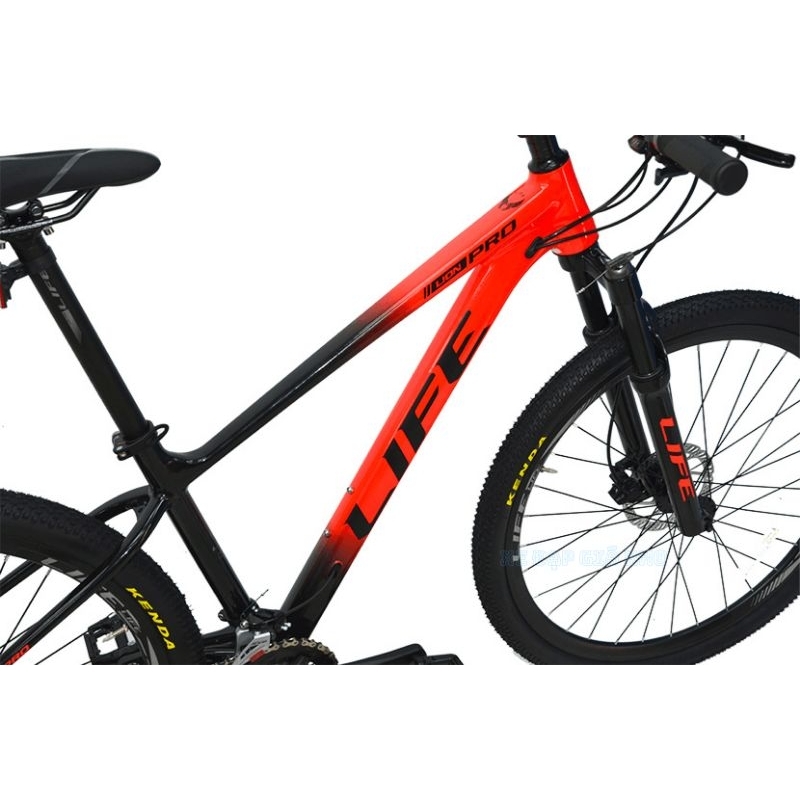 Xe đạp life lion pro