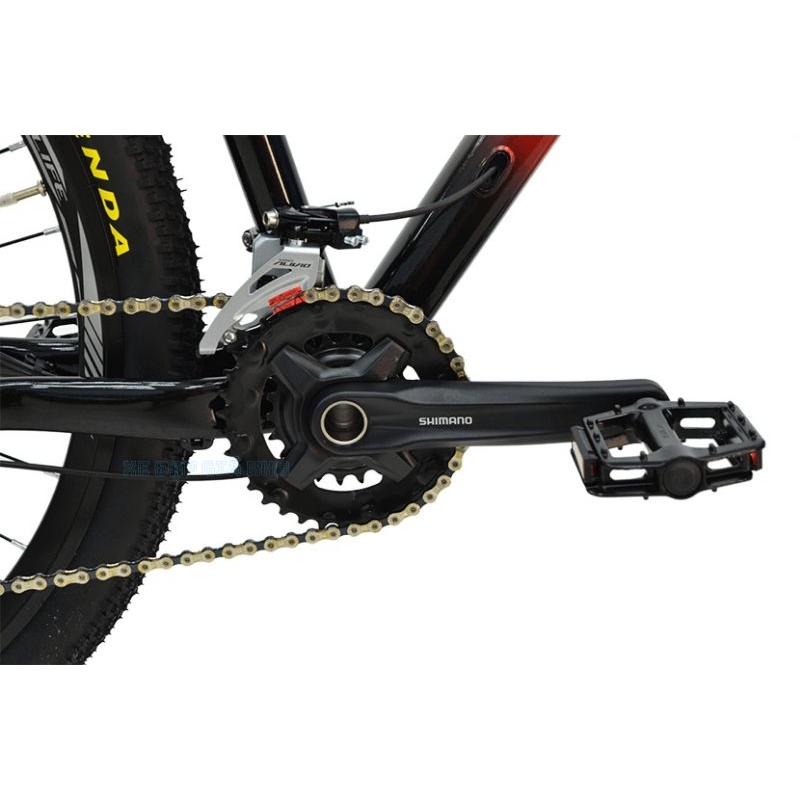 Xe đạp life lion pro