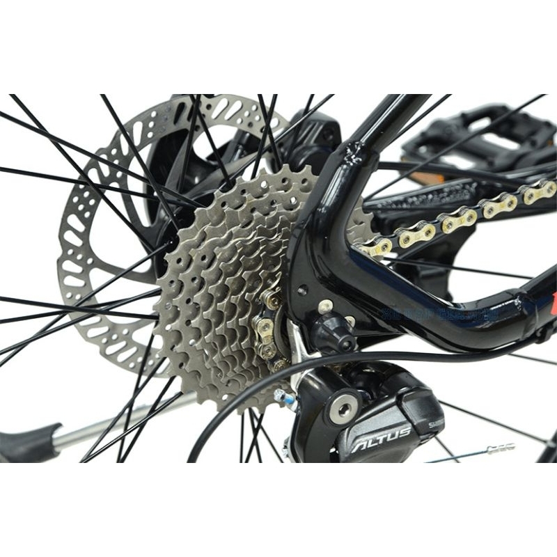 Xe đạp life lion pro