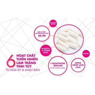 Probio White - Viên Uống Trắng Da
