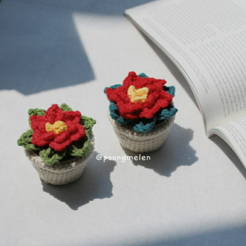 Chậu hoa trạng nguyên handmade • 𝐩𝐥𝐚𝐧𝐭𝐬 𝐩𝐨𝐢𝐧𝐬𝐞𝐭𝐭𝐢𝐚 𝐟𝐥𝐨𝐰𝐞𝐫 •