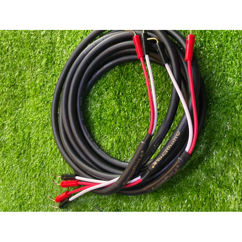 Bộ dây loa Đức chiều dài 2.5m