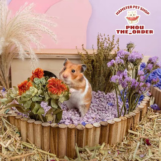 NITEANGEL Cành cây hoa khô cắm chuồng cho hamster