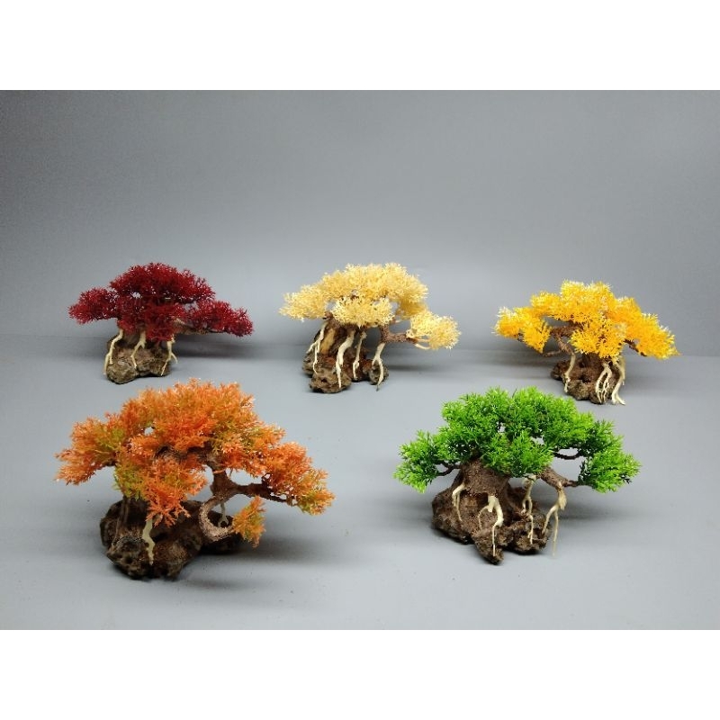 Tùng đế đá dành cho bể mini