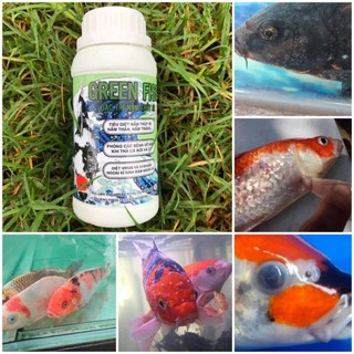 Green Fish Thuốc trị đỏ mình thối đuôi, thối vây, lờ đờ, ngủ cá koi