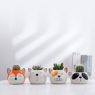 Chậu Cây Mini Hình Con Vật Cute, Trồng sen đá, xương rồng, cây mini