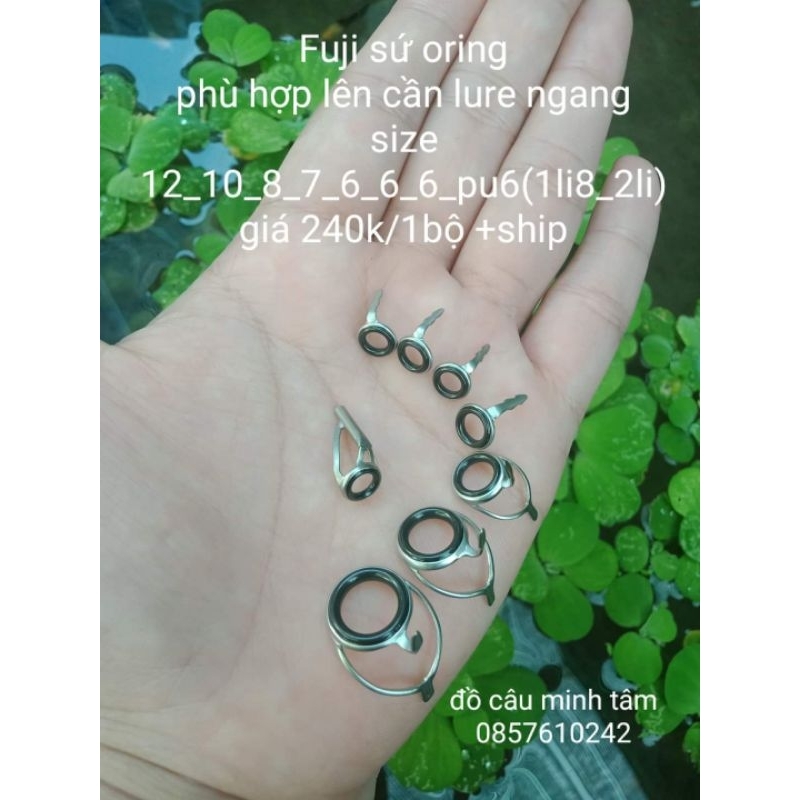 fuji sứ oring pu alconite dựng cần lure ngang