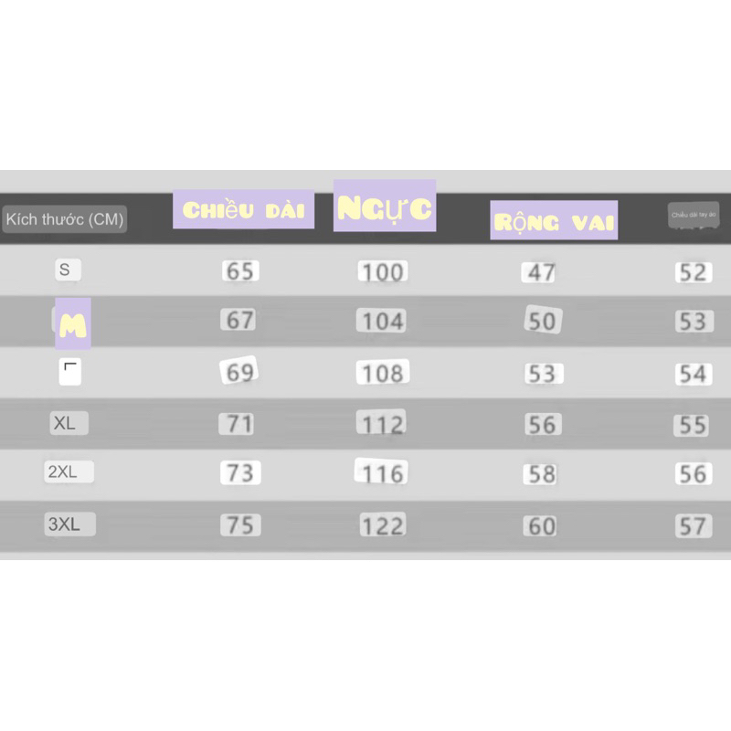 Áo hoodie Born Pink giống Blackpink mặc trong concert Bornpink