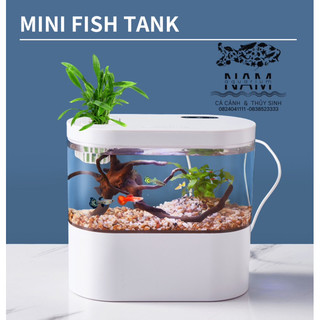 Bể cá mini để bàn văn phòng FISH TANK