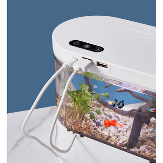 Bể cá mini để bàn văn phòng FISH TANK