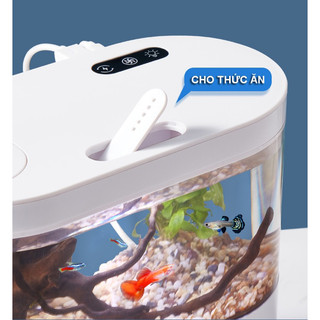 Bể cá mini để bàn văn phòng FISH TANK