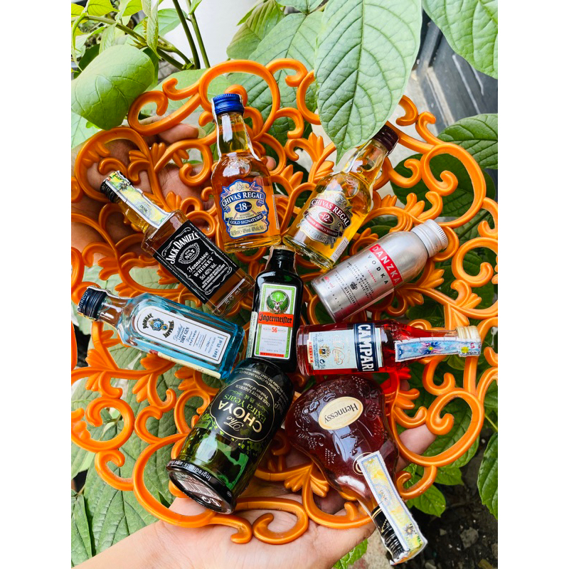 Bộ Sưu Tập Nhí Bỏ Túi - mini size