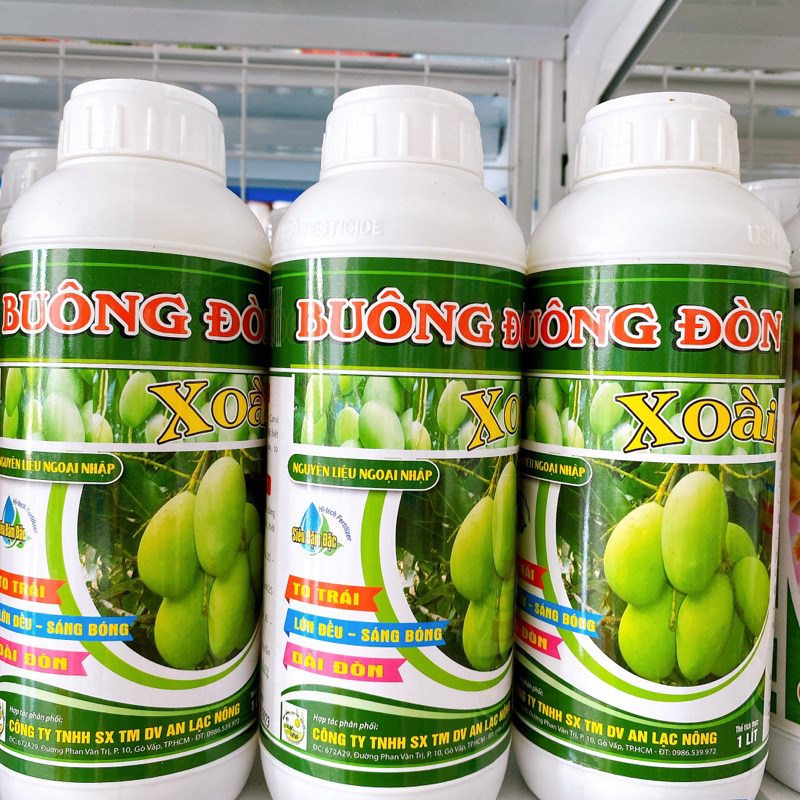Buông Đòn Xoài 1L To Trái, Lớn Đều, Sáng Bóng, Dài Đòn