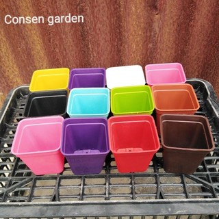 Combo 10 chậu nhựa trồng sen đá, ươm hạt size 7x7cm