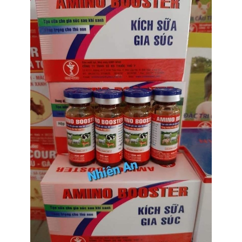 Kích sữa heo nái 10ml