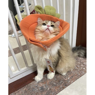 Vòng cổ chống liếm cho chó mèo êm ái