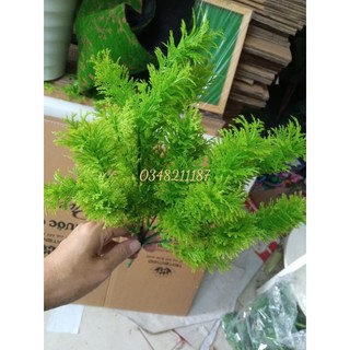 Cây giả- Cụm lá rong giả trang trí, bụi to 5-7 nhánh - cắm điểm siêu đẹp.