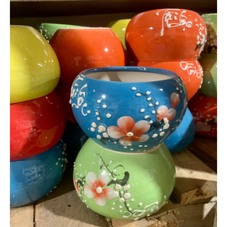 Chậu sứ miệng bèo