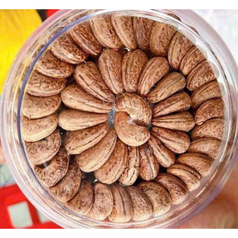 Hạt điều hộp tròn xếp hoa ngon Size bự 500g