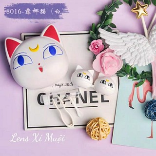 Khay lens mèo đen trắng