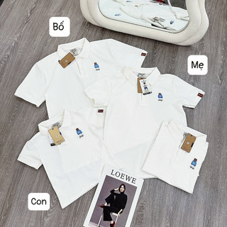 Áo polo who gấu chất da cá hàng xuất