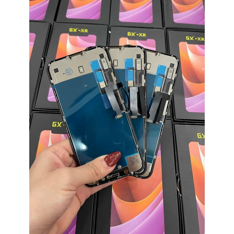 Màn Xr gx  new