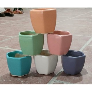 Chậu lục giác trồng cây - size 8x7 cm
