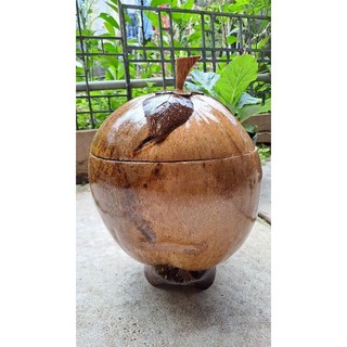 Quả dừa giữ nhiệt bình trà có đế và sơn bóng kèm ấm trà 1 lít