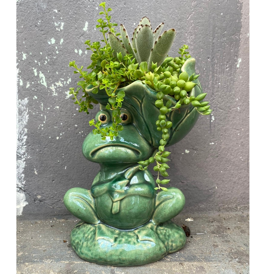 Chậu men con ếch che lá sen