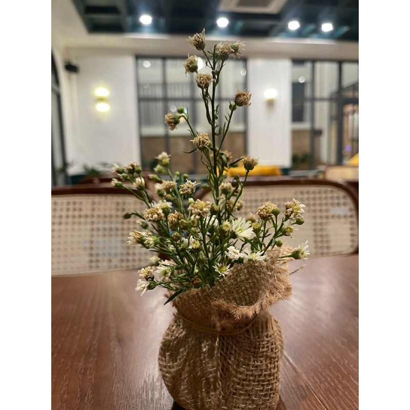 Hoa khô lonely-cute