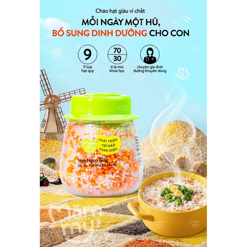 Combo 9 Hạt Mix sẵn cho bé ăn dặm nhiều chất dinh dưỡng kết hợp bởi gạo sữa và nhiều loại hạt quý