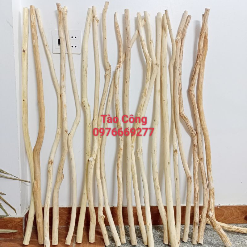 cành cây khô thẳng trang trí 60cm.