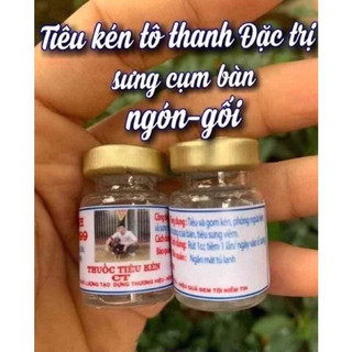Tiêu kén tô thanh