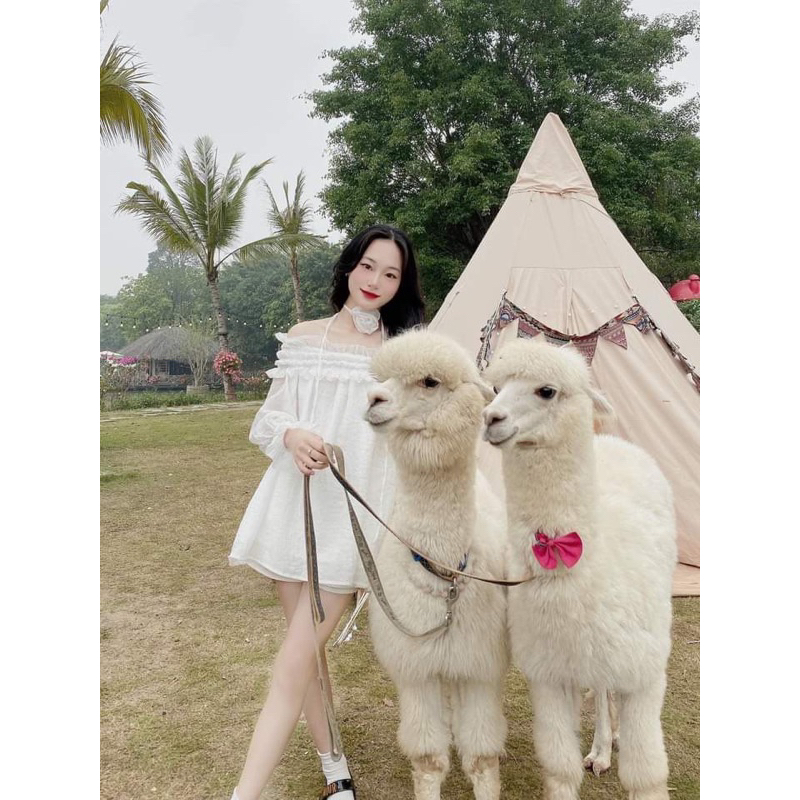 Áo tơ nhăn hở vai tay phồng kiểu tiểu thư sang trọng - A25 | BigBuy360 - bigbuy360.vn