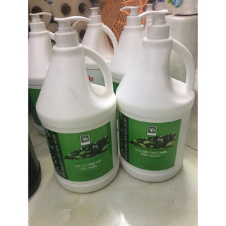 Dầu gội bưởi siêu mềm , phục hồi 5L