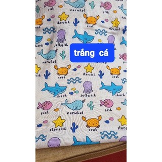 thun cotton (mẫu baby)