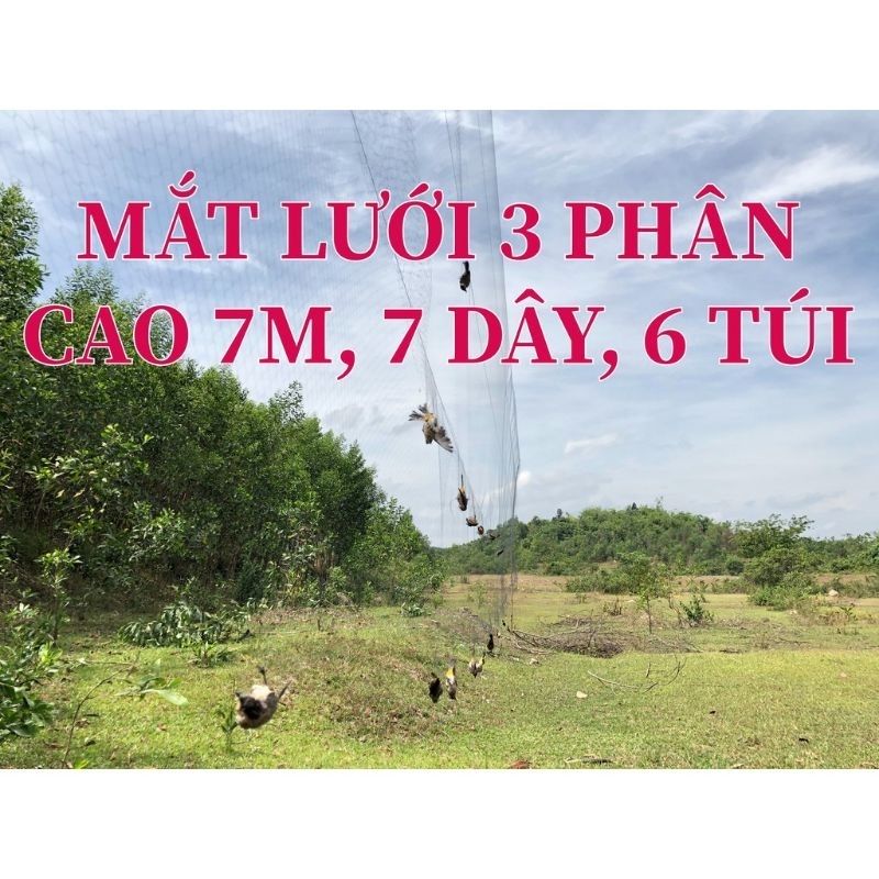 Lưới_BẪ-Y_CHIM_3pCao7m