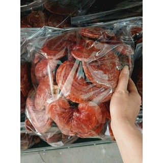 Nấm linh chi đỏ,nấm linh chi rừng,nấm linh chi