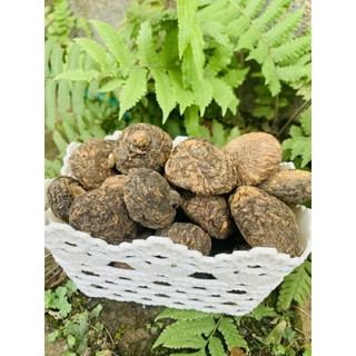 1kg Sâm Ma Ca Peru đen,sâm Maca Peru size to đẹp,sỉ lẻ sâm macca mắc ca Peru đen loại 1
