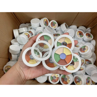 Triệt sắc che khuyết điểm Kryolan chiết