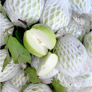 Ổi nữ hoàng giòn ngọt 1kg