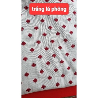 thun cotton (mẫu baby)